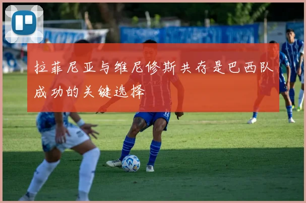 拉菲尼亚与维尼修斯共存是巴西队成功的关键选择