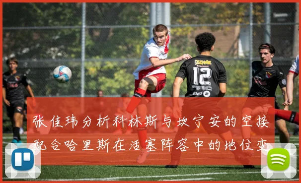 张佳玮分析科林斯与坎宁安的空接配合哈里斯在活塞阵容中的地位变化